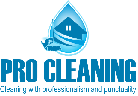 Pro Cleaning